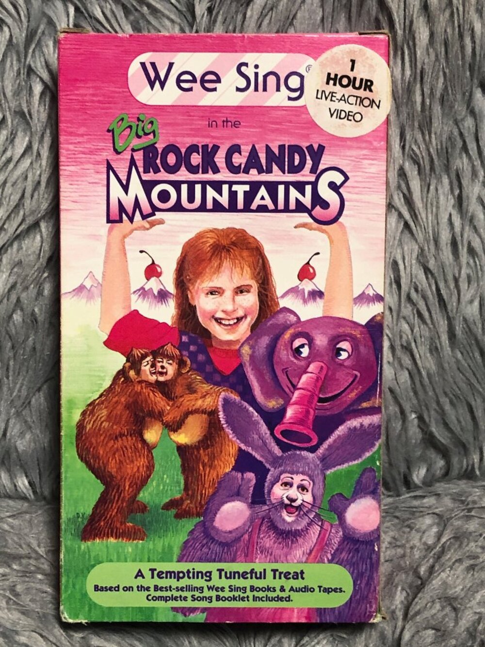 Wee Sing In The Big Wee Sing in Big Rock Candy Mountains VHS 1991 Susan Hagen